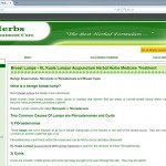 breast lumps 3 pge