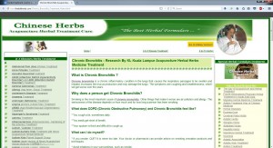chronic bronchitis 1 pge