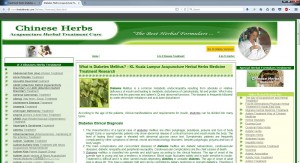 diabetes 2 pge