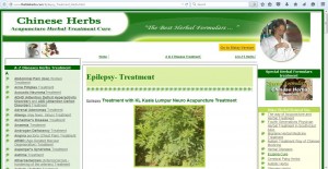 epilepsy child acupuncture treatment kl website