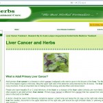 liver cancer acupuncture kl1